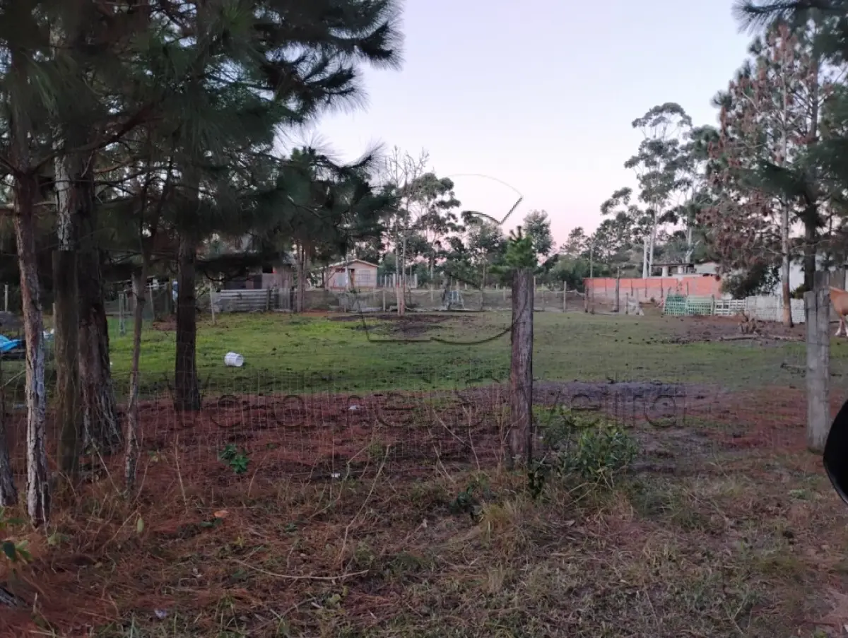 LOTE 001