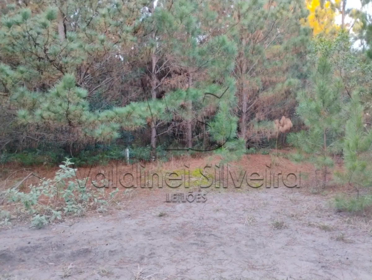 LOTE 000 - Terreno Urbano PINUS PARK- Torres/RS