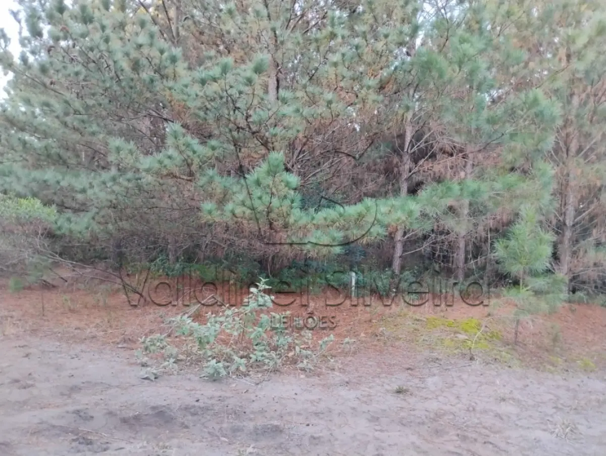 LOTE 000 - Terreno Urbano PINUS PARK- Torres/RS