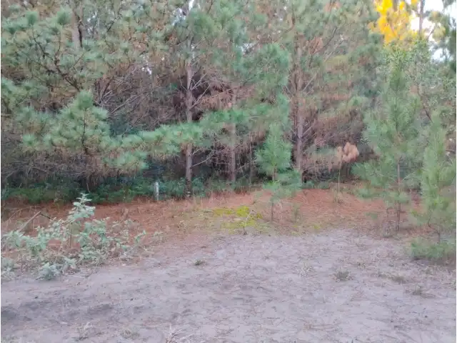Terreno Urbano PINUS PARK- Torres/RS