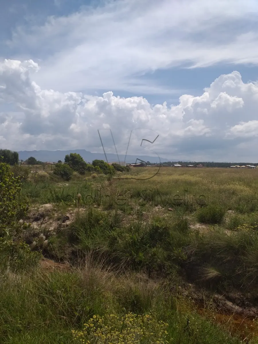 LOTE 001