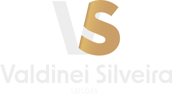 VS Leilões