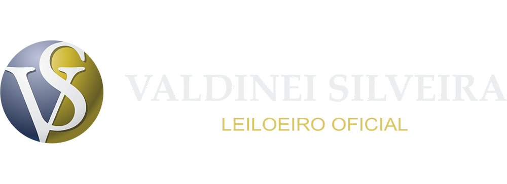 VS Leilões